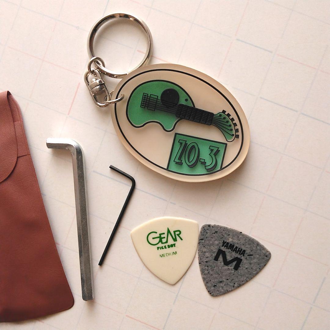 FERNANDES ZO-3専用ソフトケース 初期型 小物付 - メルカリ