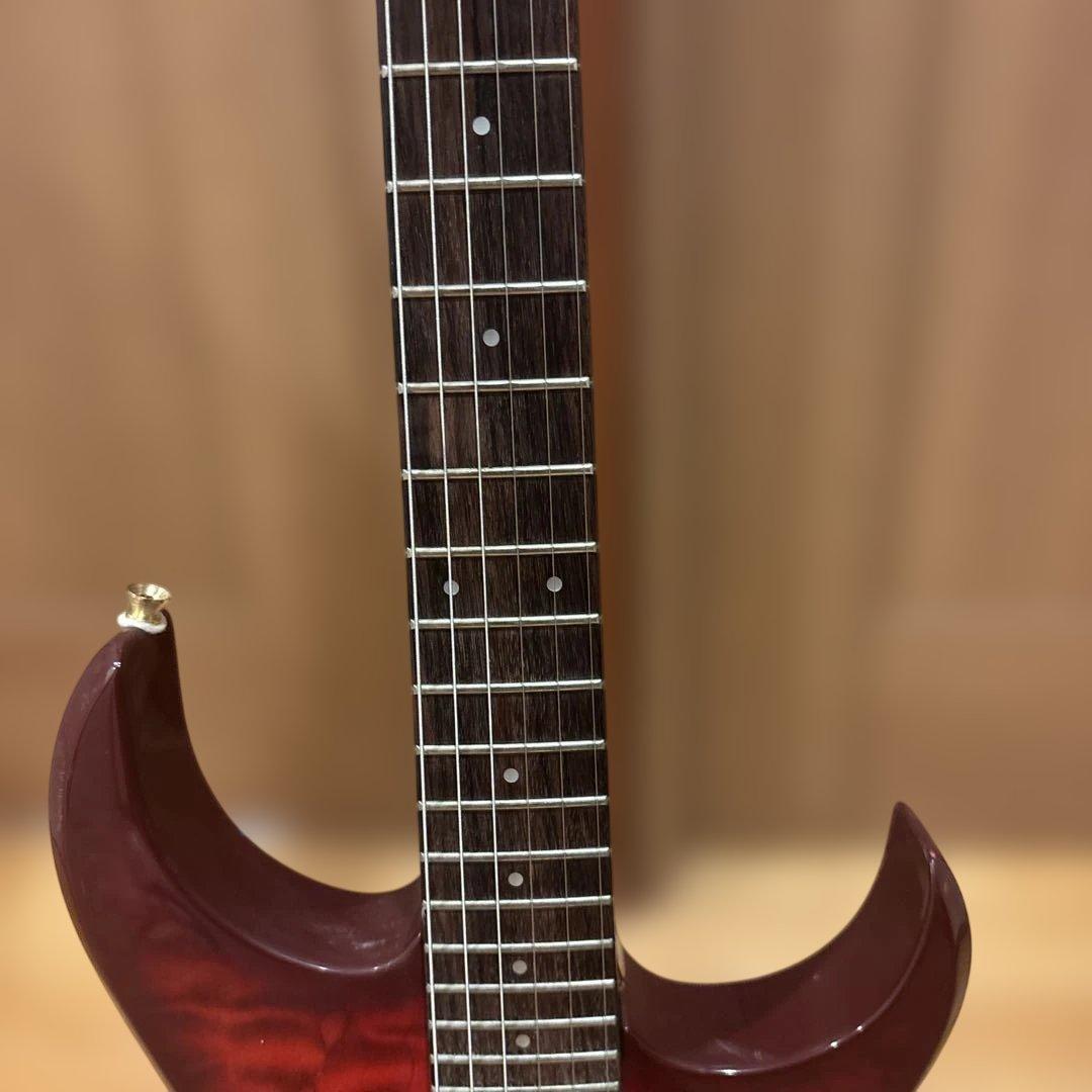 初心者です様専用】金ロゴ FERNANDES トレモロアーム付・新品弦張替済