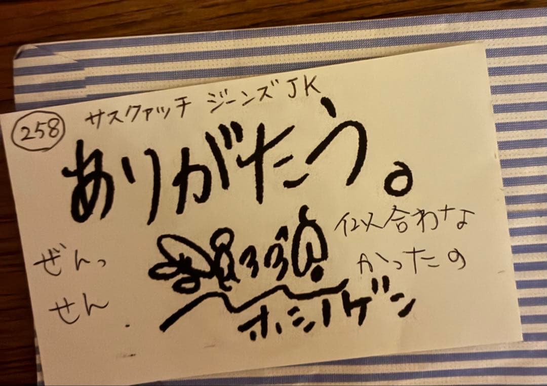 星野源私物　サスクワッチ　デニムジャケット