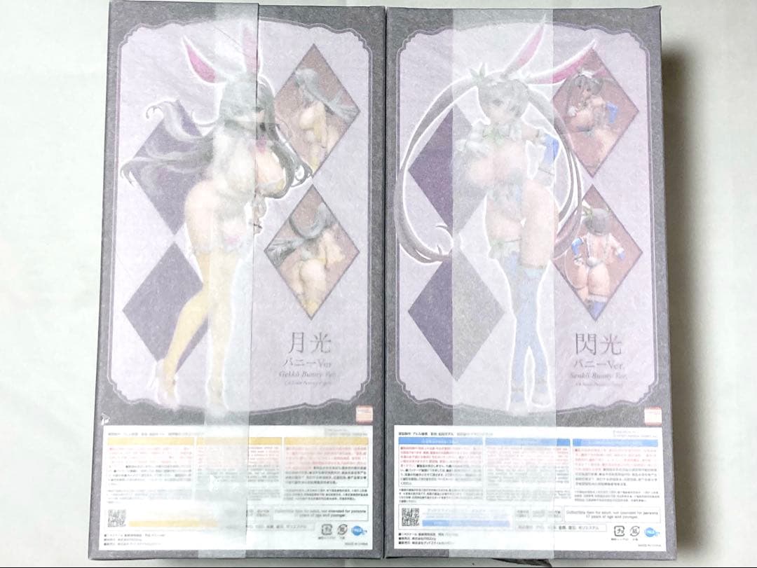 D*G様 閃乱カグラ シノビマスター フィギュア 月光 閃光