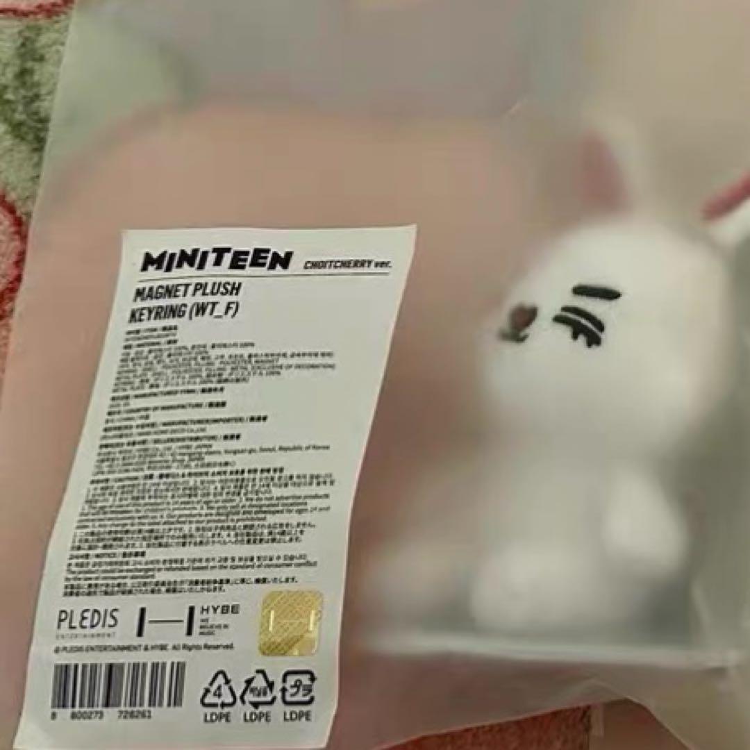 MINITEEN ミニティーン　マグネットキーリング　ぬいぐるみ　エスクプス