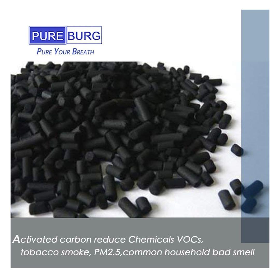 PUREBURG EFFCLN2 交換用フィルター エレクトロラックスと互換性有