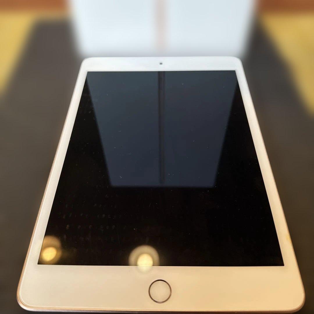 Apple iPad 256GB 5th Gen Gold 本体 iPad Wi-Fiモデル 256GB - イエローを購入 - 教育 - Apple（日本）