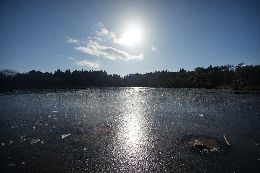 SIGMA 12-24mm F4.5-5.6 DC HSM EFマウント