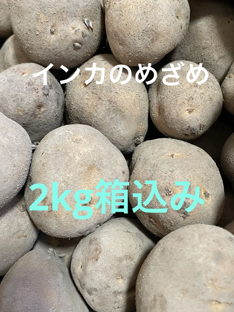 インカのめざめ 種芋 2kg箱込み - メルカリ