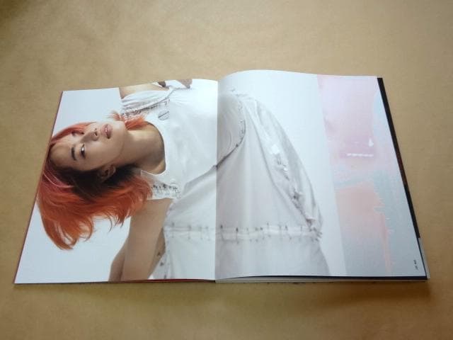 ☆ 菅田将暉 小松菜奈 アートブック 「FF0921 PIEZOGLYPH」 ☆ - メルカリ