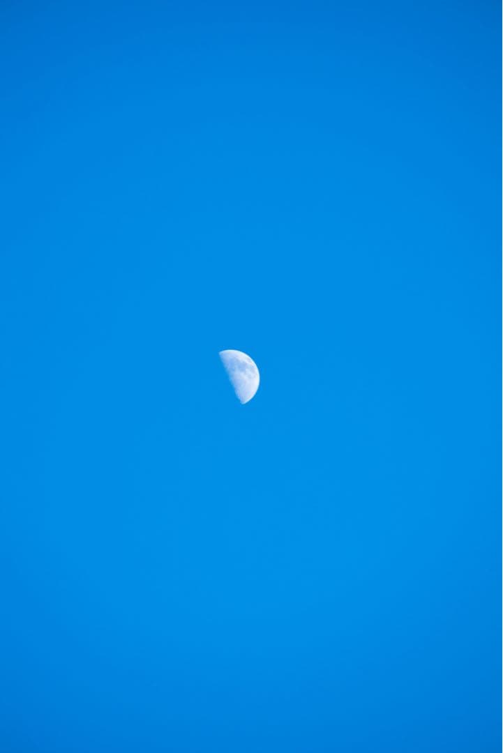 EF 75-300mm f/4-5.6 IS USM【オマケ付】