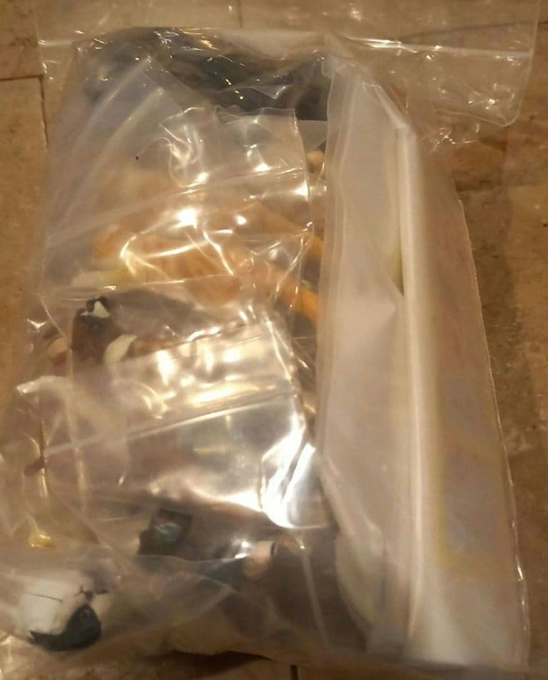 ★フルタ★チョコエッグ★ペット動物第4弾★14種28点★ 楽天市場】『チョコエッグリスト下敷き付き』チョコエッグ ペット動物