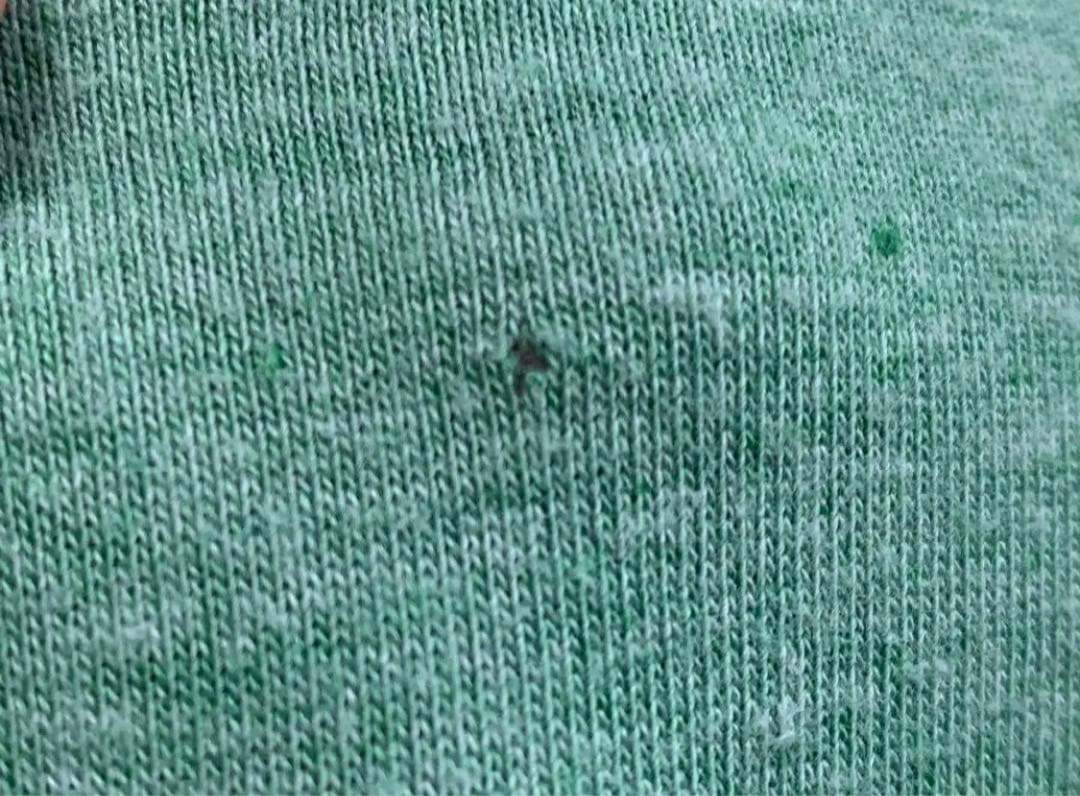 【稀少】エレファントカシマシ25周年Tシャツ