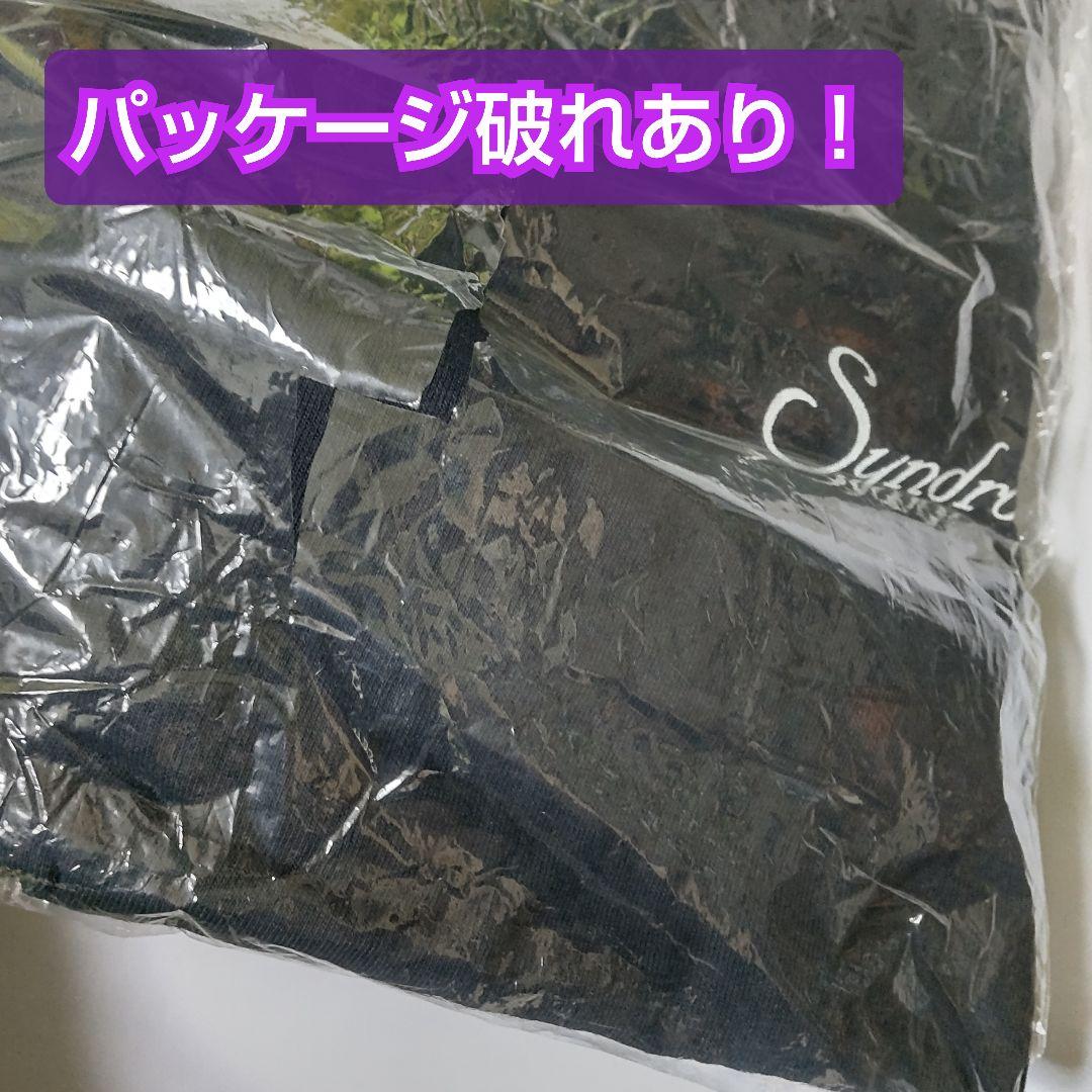 【限定】Syndrome ロンT★２点【ヴィンテージ】Ｖ系るいざ KISAKI