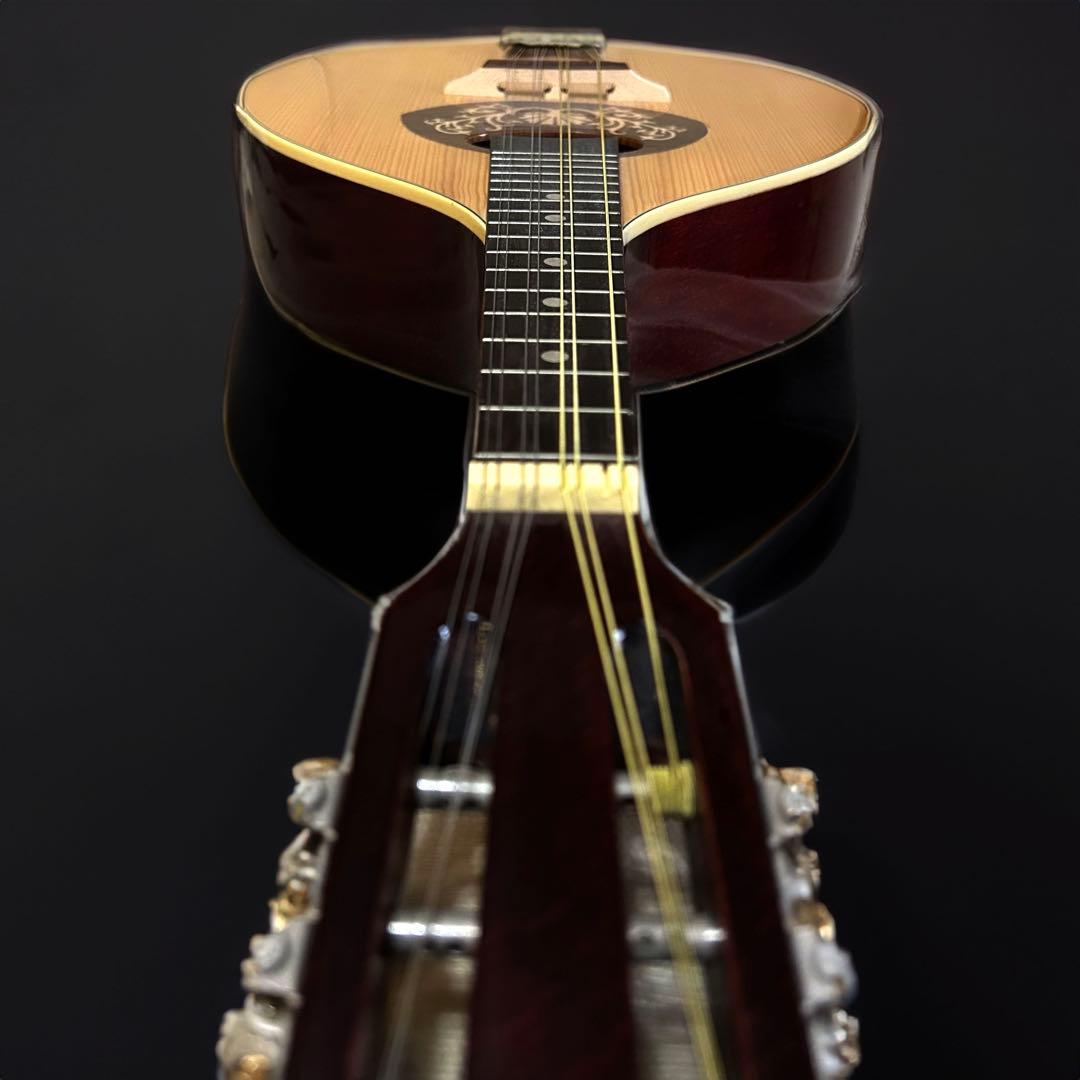 Hora Mandolin Port.1 フラット マンドリン - メルカリ