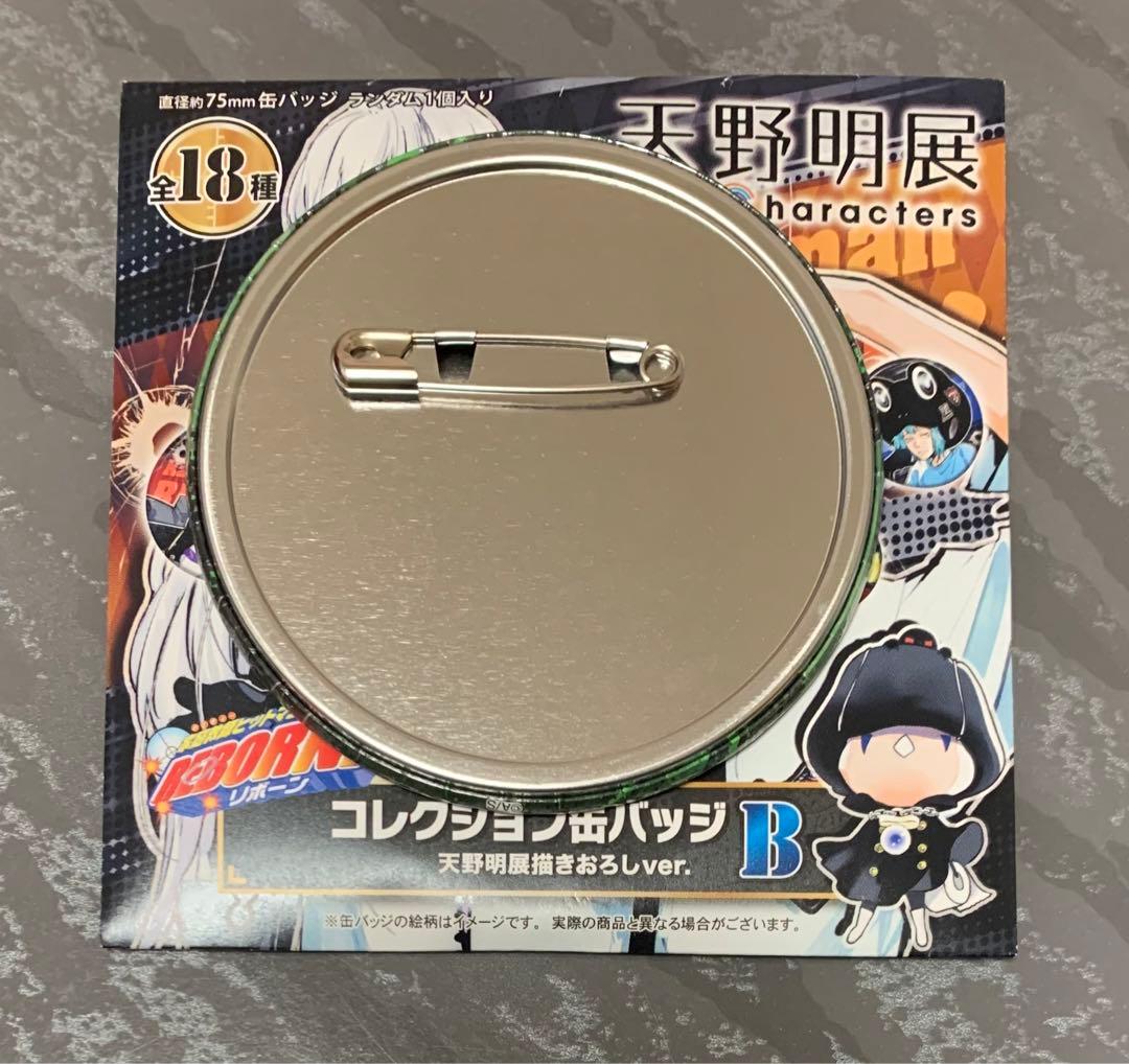 天野明展 REBORN リボーン コレクション缶バッジ ヴェルデ - メルカリ