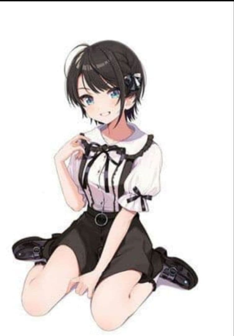 大空スバル、姫森ルーナ、グッズ　他