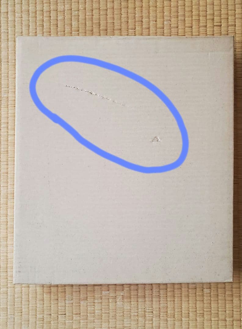 【児島優子】画家　油彩画　黄花