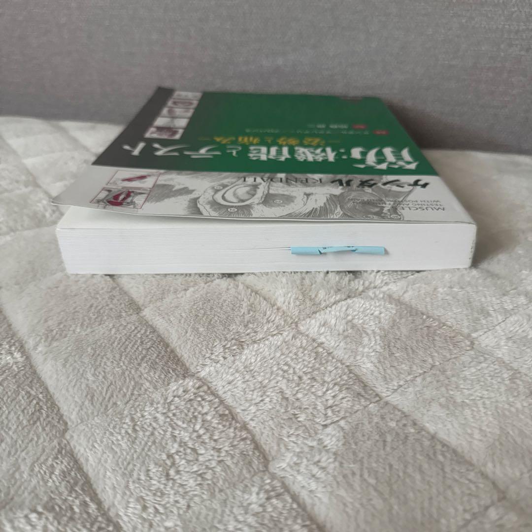 こちらは購入者が決まっております 筋・機能とテスト -姿勢と痛み-