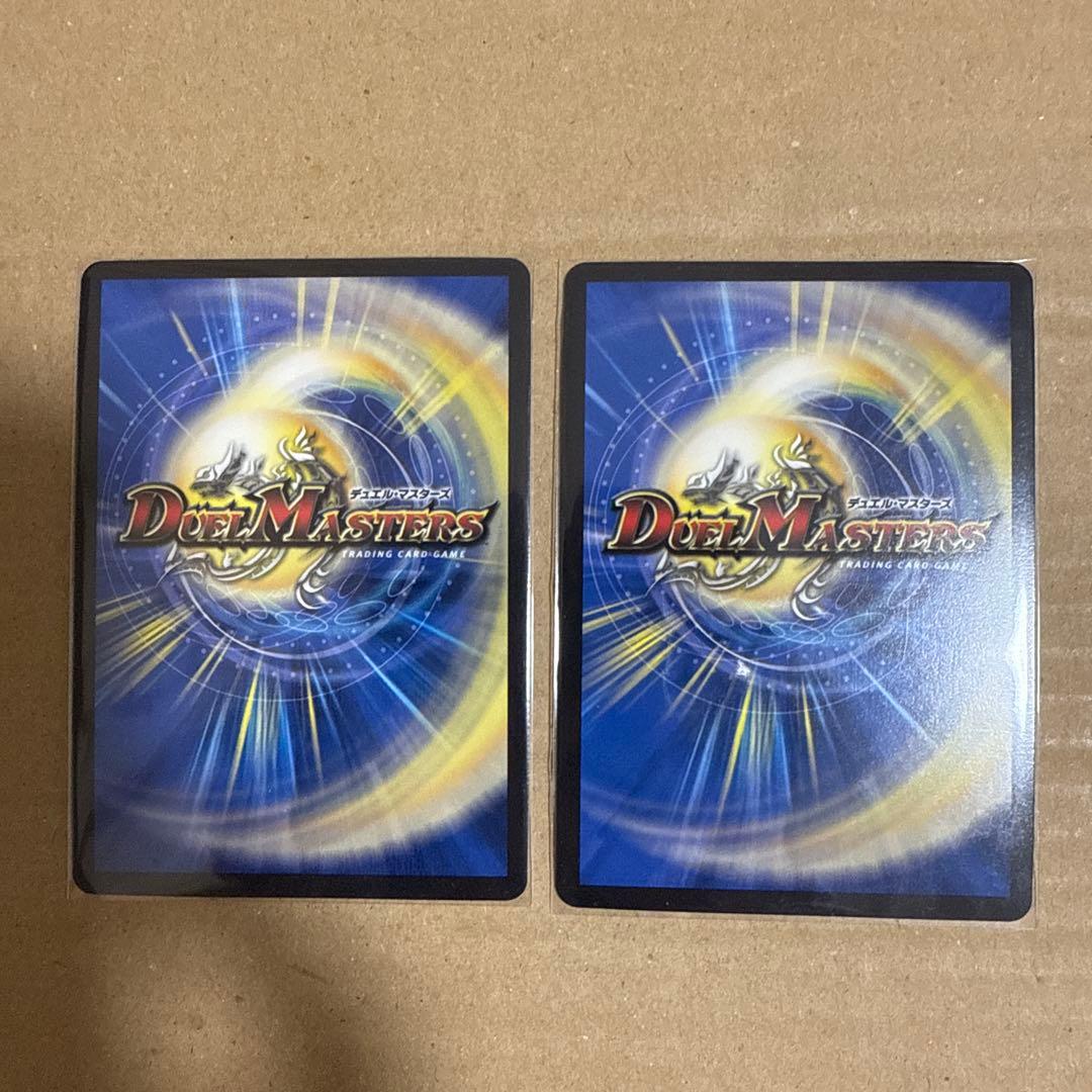 龍素記号wD サイクルペディア 金 4枚