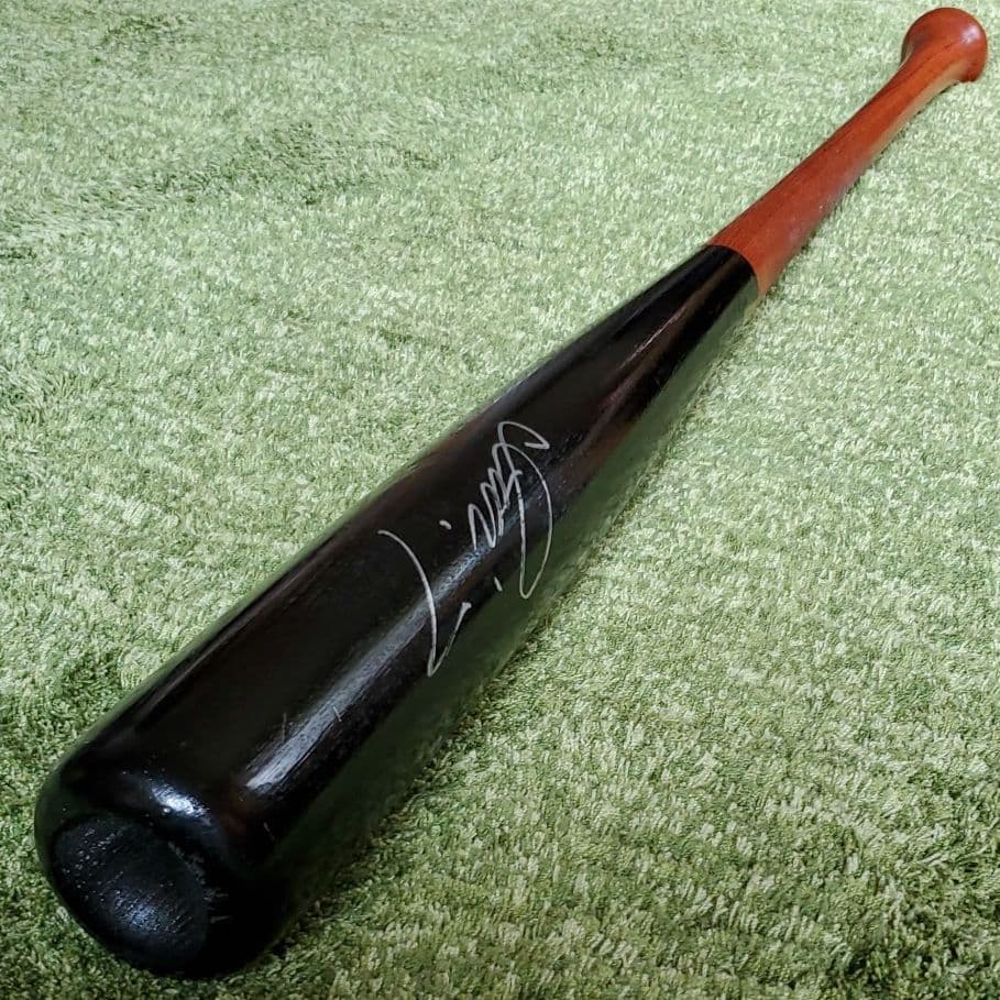 糸井 嘉男 バット 日本ハムファイターズ オリックスバファローズ 阪神