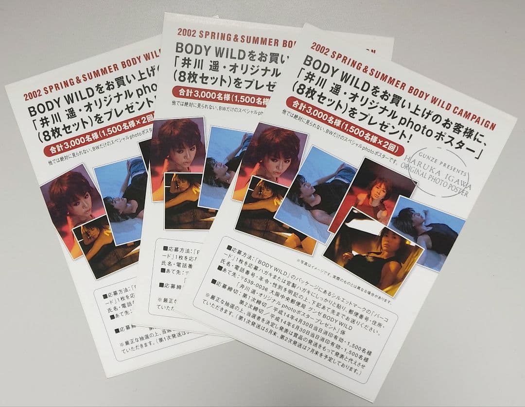 2002 井川遥 ADカード 3枚セット グンゼ BODY WILD - メルカリ