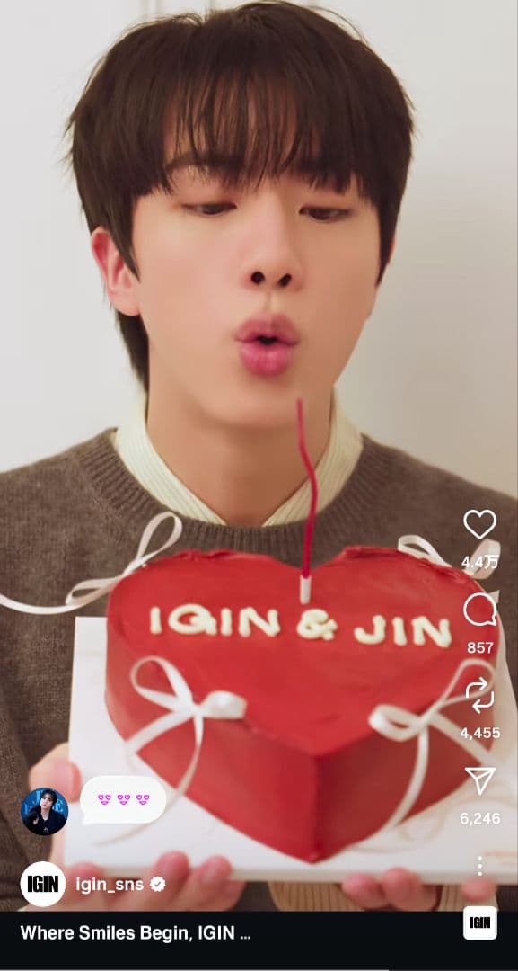 アイドル IGIN APPLE GIN Holiday Special Edition