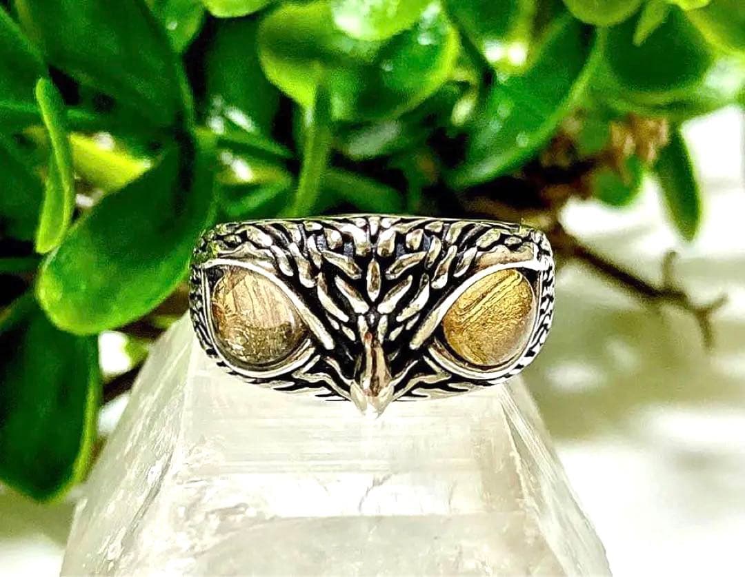 スマイル様　宇宙の彼方から舞い降りし奇跡の隕石　プレミアムギベオンフクロウリング スマイル様 宇宙の彼方から舞い降りし奇跡の隕石 プレミアムギベオン