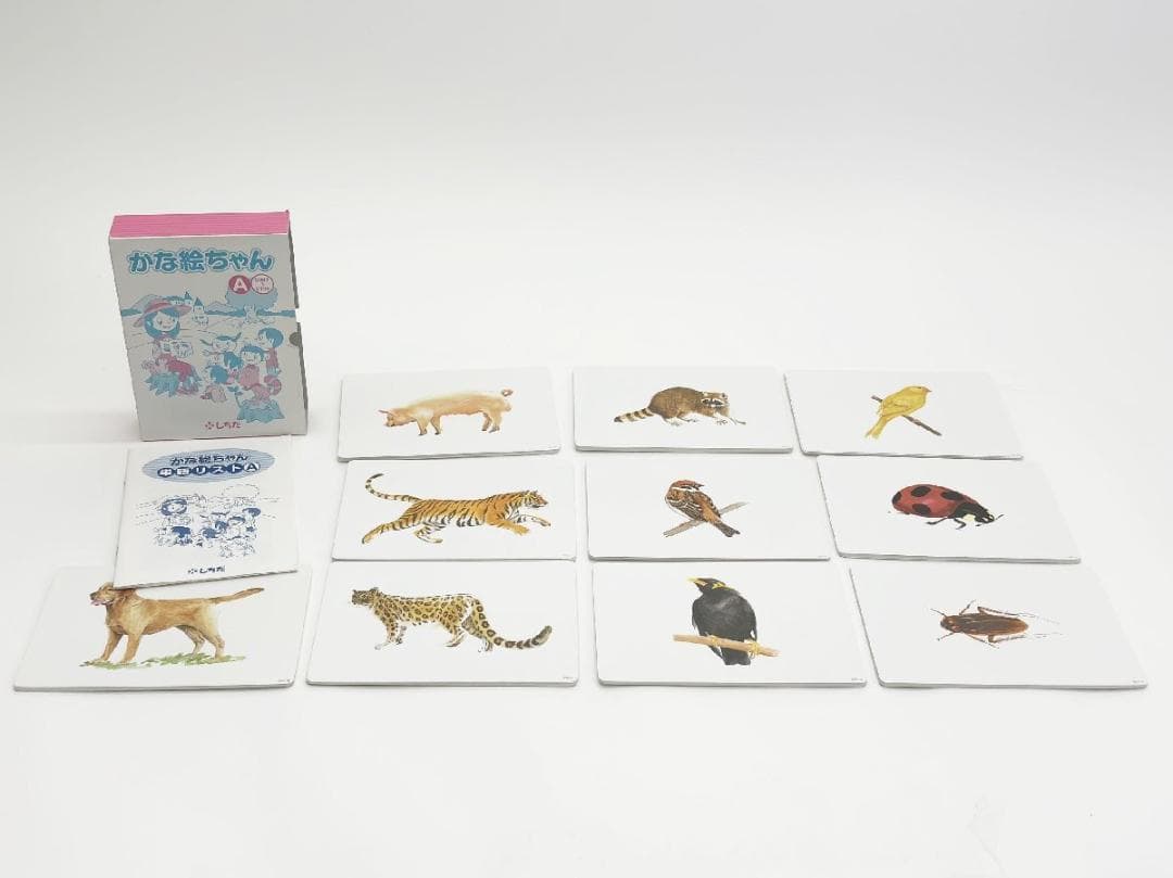 七田式 かな絵ちゃんカードA600枚セット しちだ - メルカリ