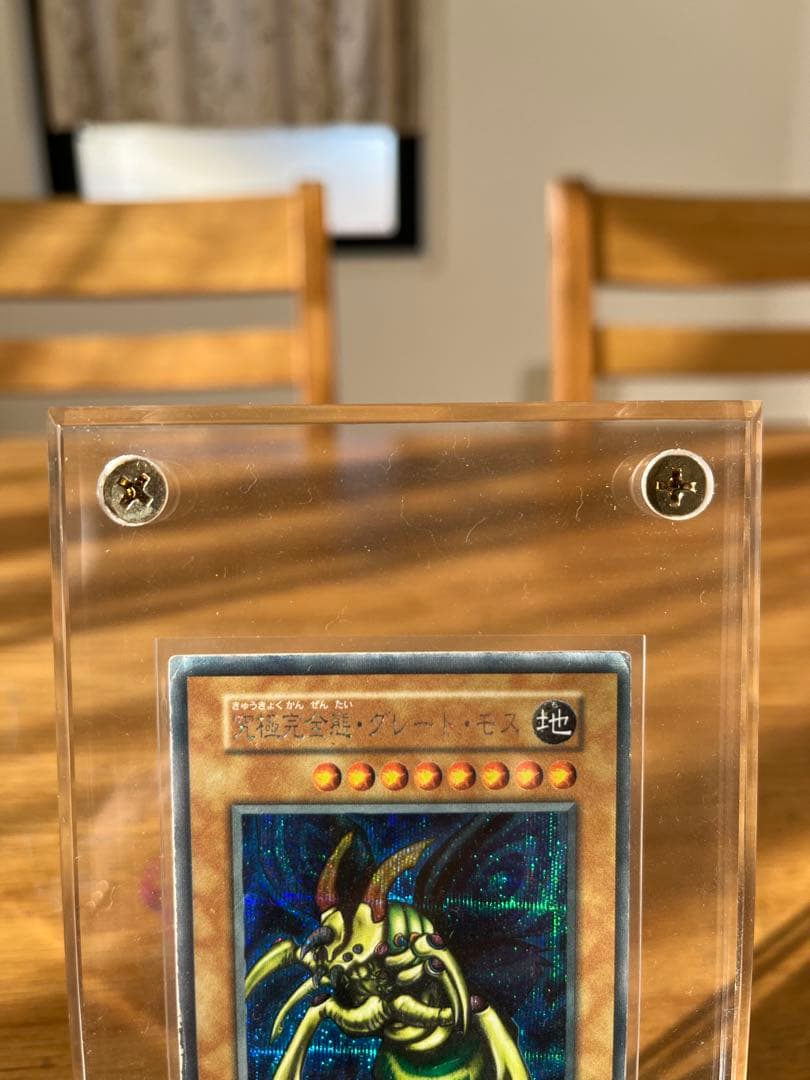 遊戯王 究極完全態グレートモス　初期