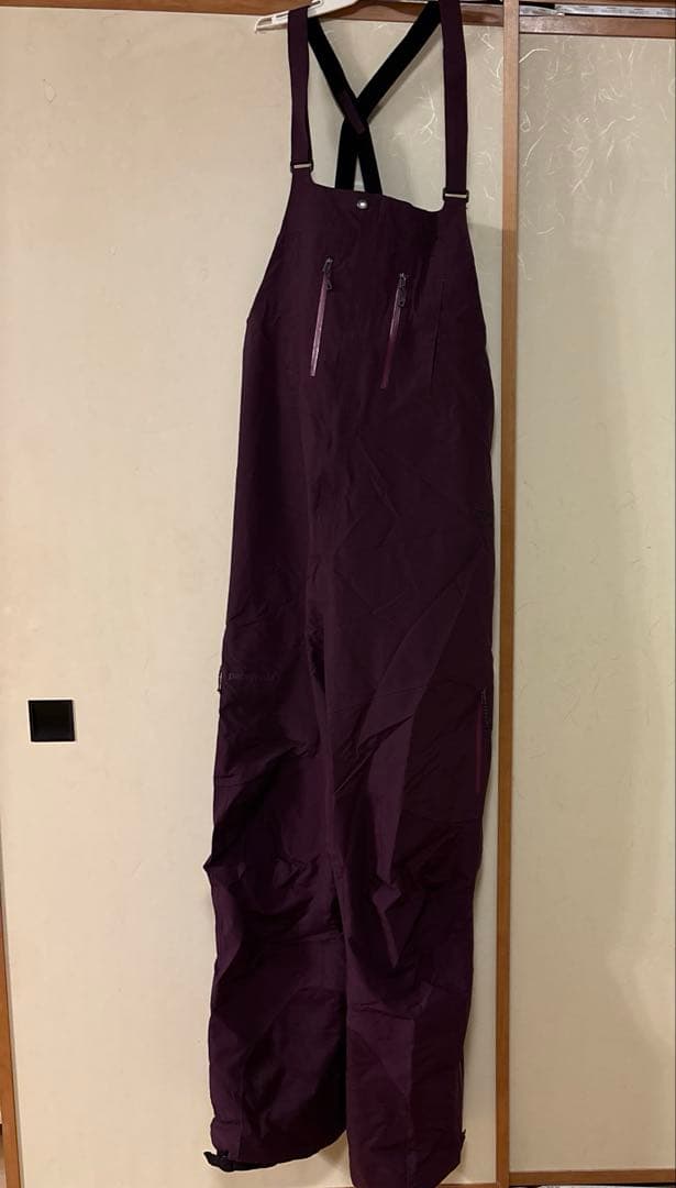 Patagonia パタゴニアビブパンツ パタゴニア メンズ ウェア パウダータウンビブパンツ POWDER TOWN BIB