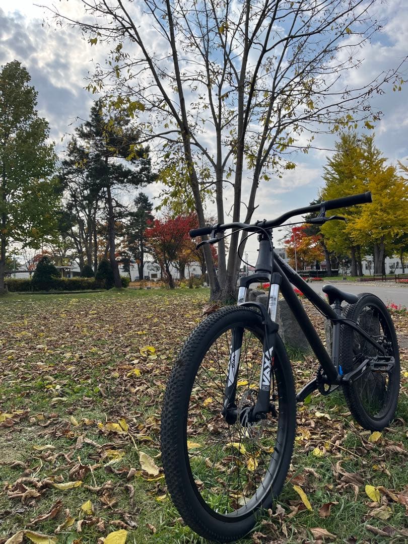 ダートジャンプ マングース FIRE BALL MOTO Fireball Moto – Mongoose International