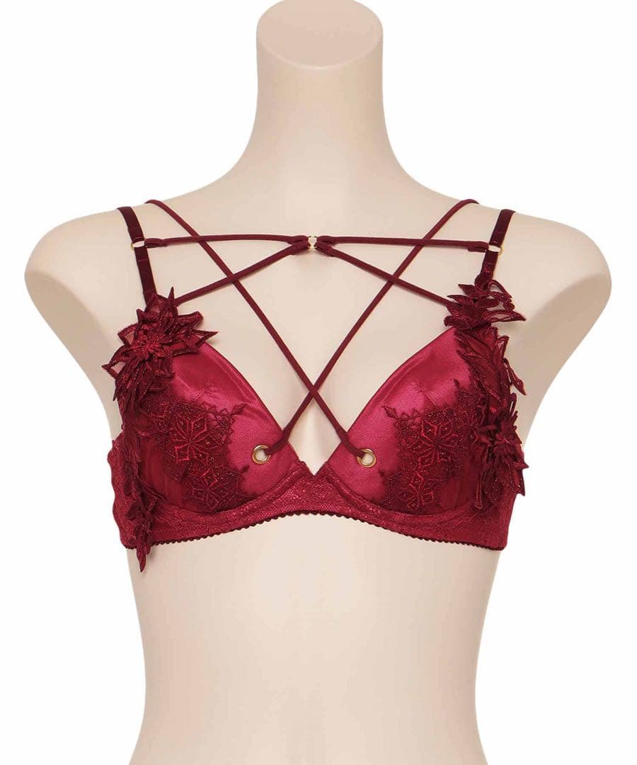 ランジェリアム＊ブラD65ショーツS