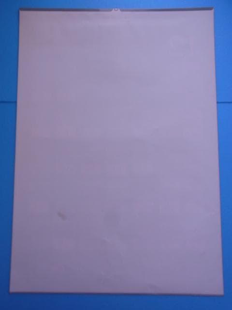 未使用品　非売品　マジック・ザ・ギャザリング　カレンダー　2000年　ポスター