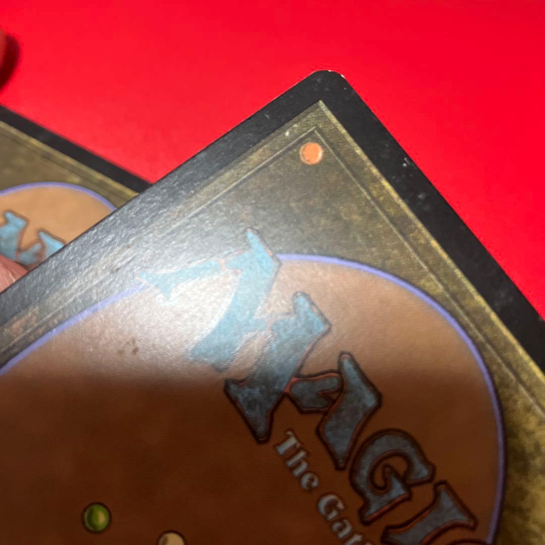 水蓮の花びら Lotus Petal 英語 Foil 4枚セット