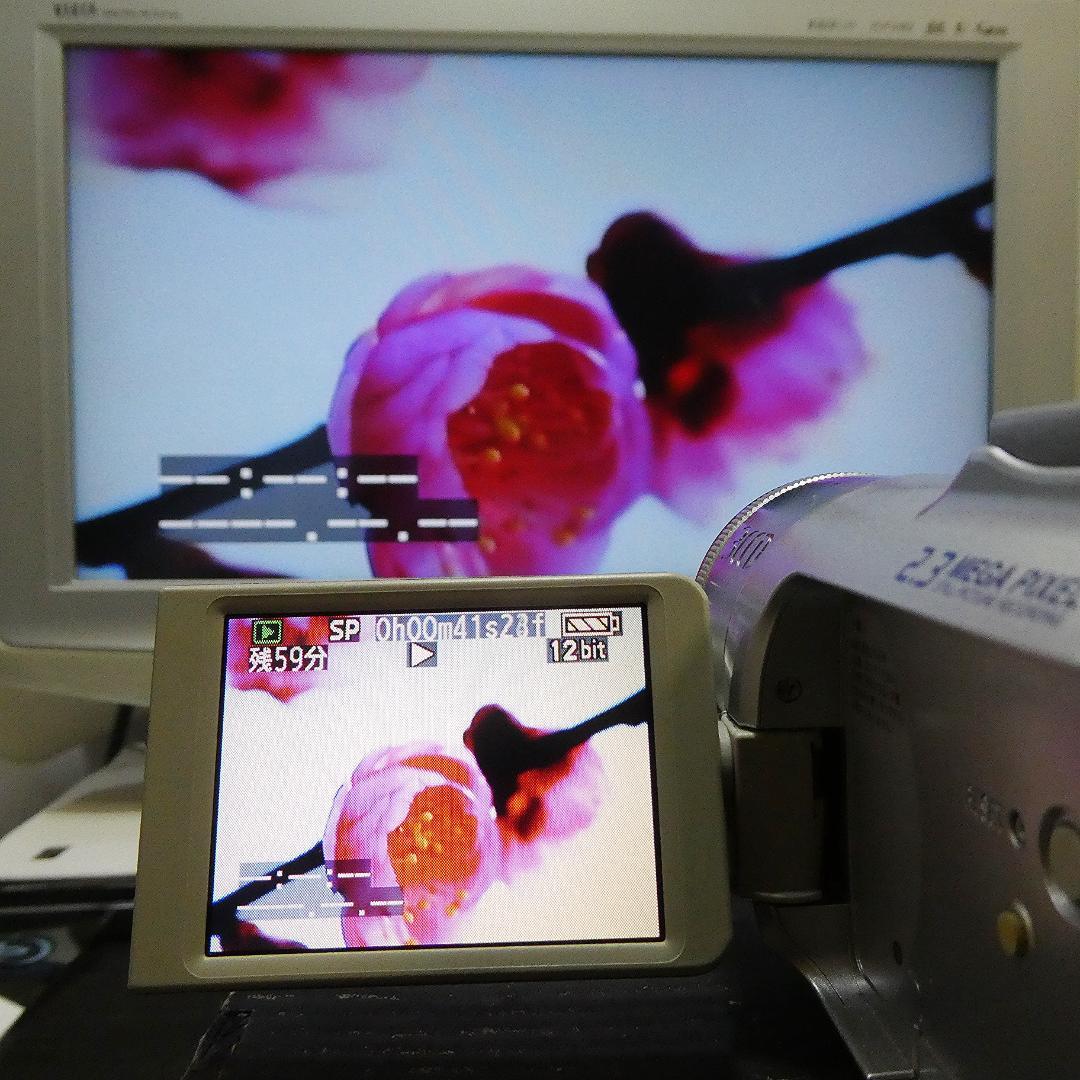 美品・動作良好 パナソニックNV-GS150 MiniDVビデオ DVD化に最適