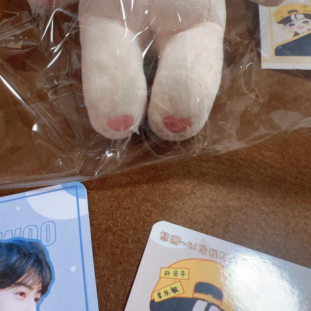 アストロ　Astro チャウヌ　20cm ぬいぐるみ　マスター