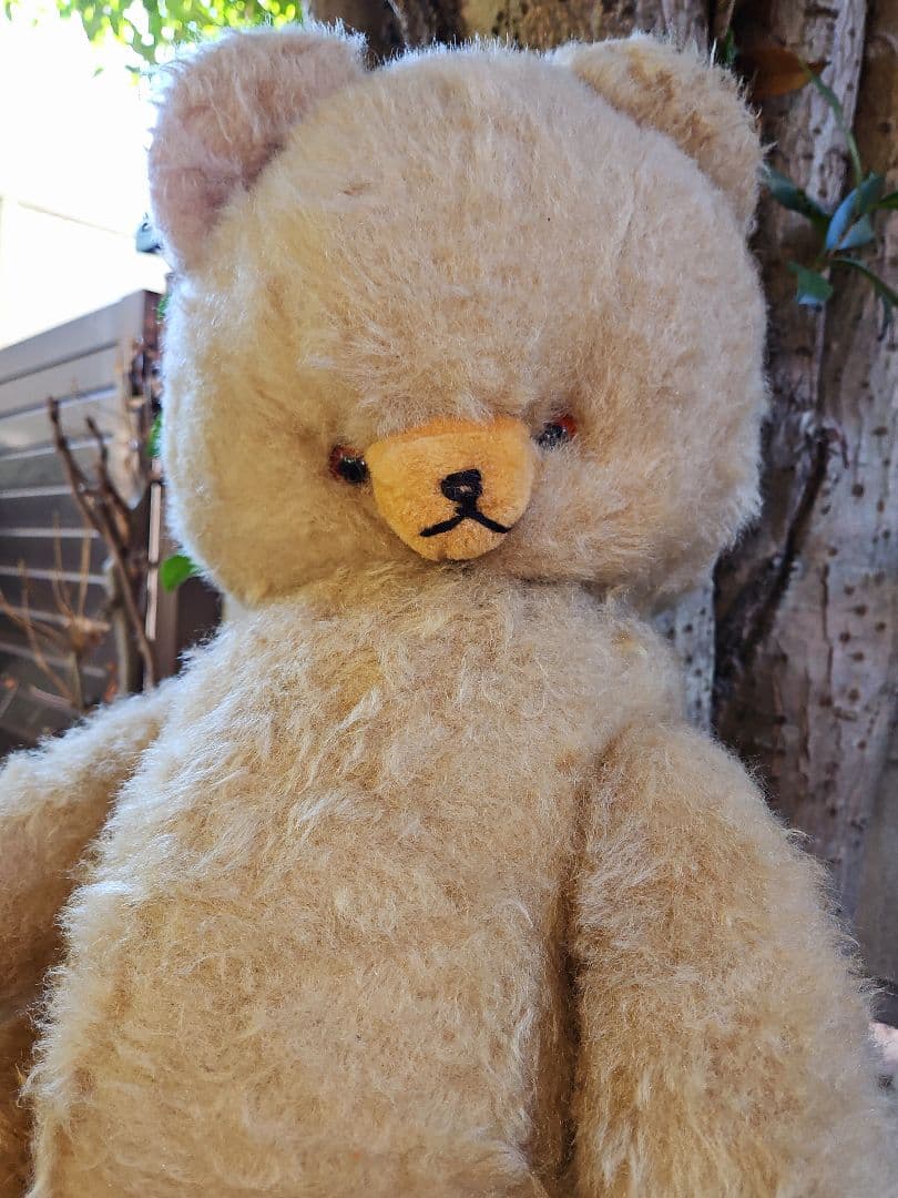 DDRベア ベビーフェイスが可愛い大きな子 ʕ•ᴥ•ʔ