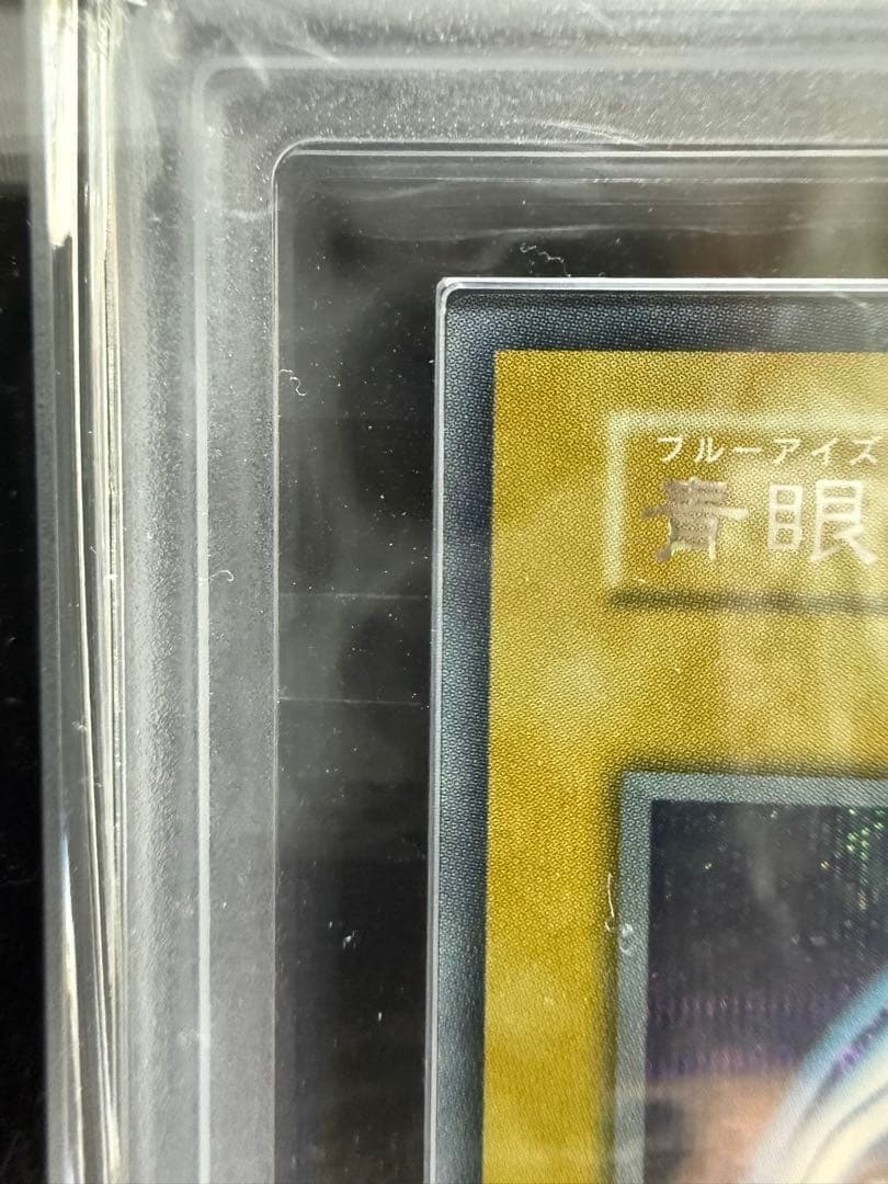 ARS10＋ブルーアイズシークレット海馬セット鑑定書スクリューダウン付き