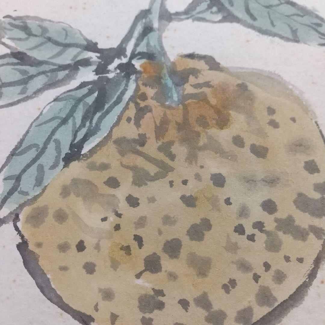 小説家画家 武者小路実篤 肉筆色紙 柚子？