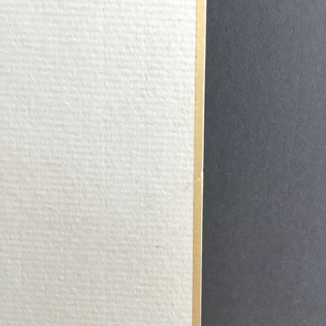 色紙 大相撲立行司 第三十一代木村庄之助 「夢」 配送用袋 S1011SS