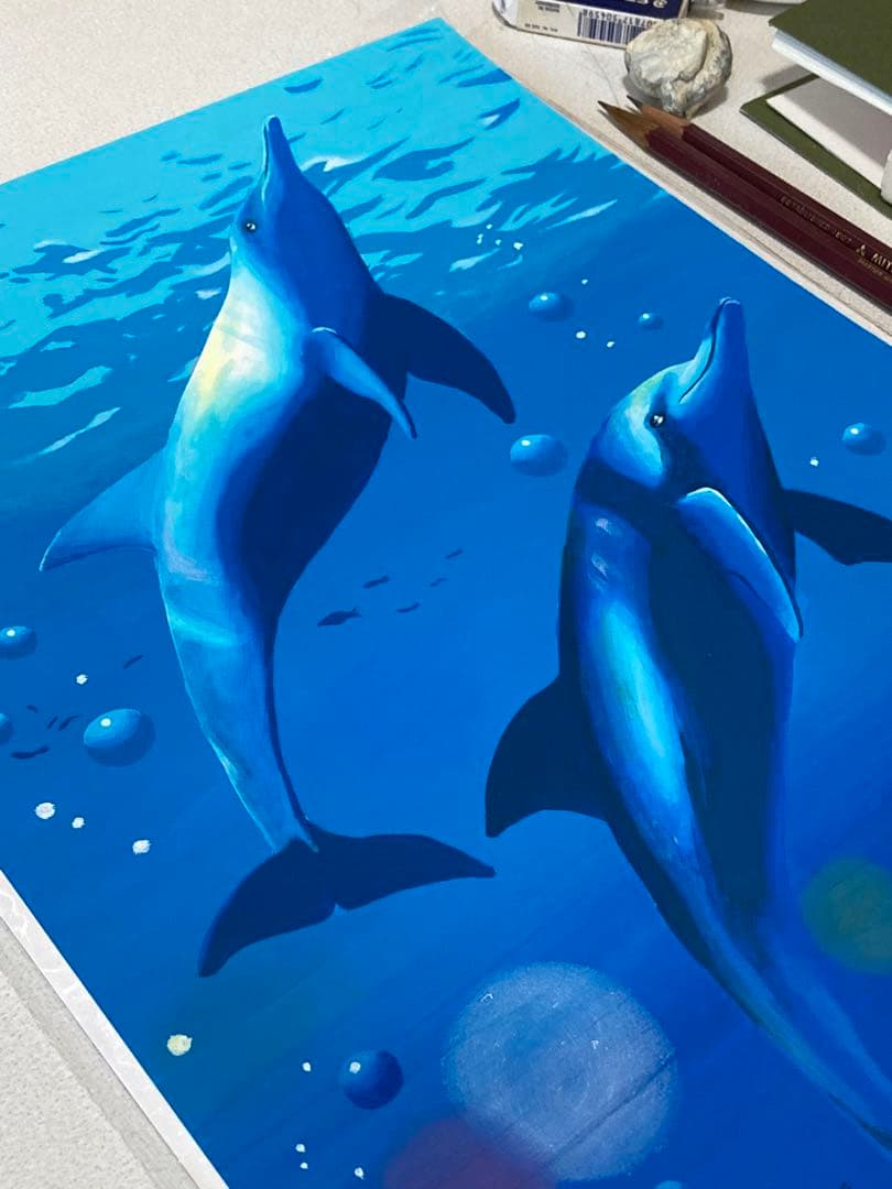 ドルフィン(原画)