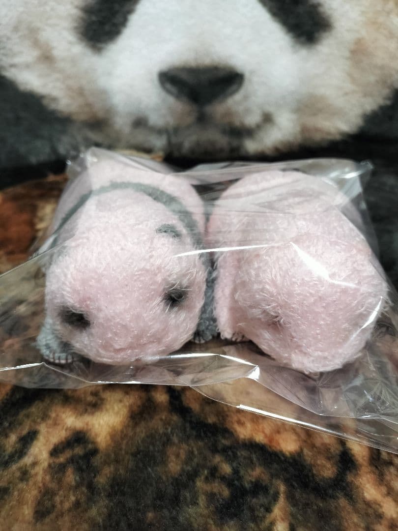 シャンシャン ぬいぐるみ ほんとの大きさパンダの仔 上野動物園 - メルカリ