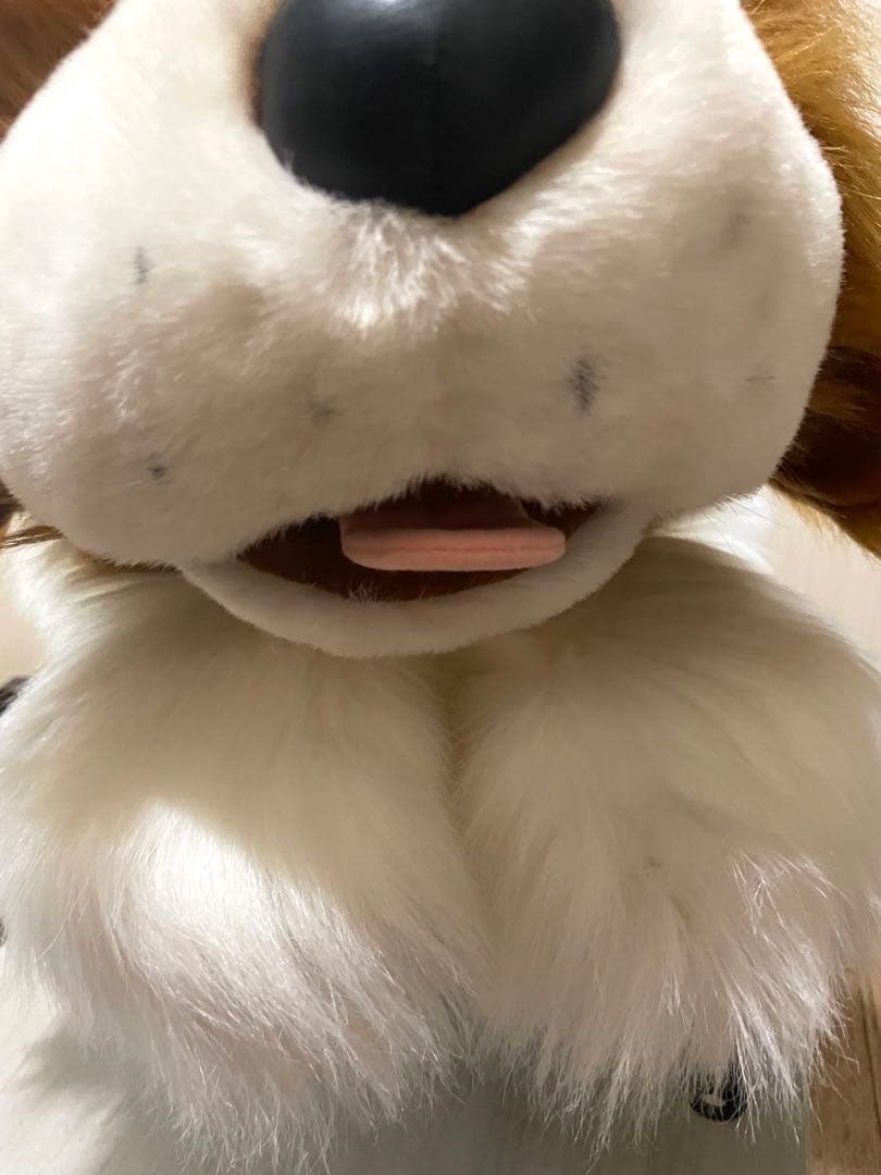 特大　セントバーナード　WARABE 激レア　レトロ