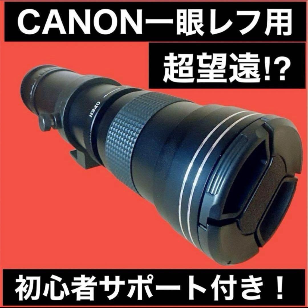 Canon一眼レフカメラ用！望遠レンズ！サードパーティ製品！おすすめ！大人気！ APS-C対応Canon RF・EFマウント神レンズ8選！純正・サードパーティ製を