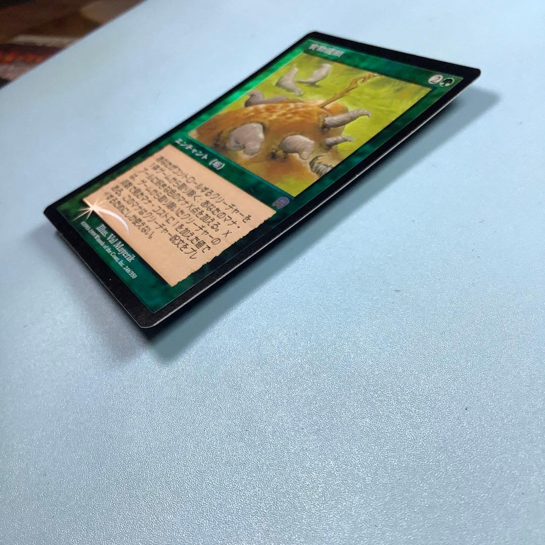 食物連鎖/Food Chain MMQ日本語foil