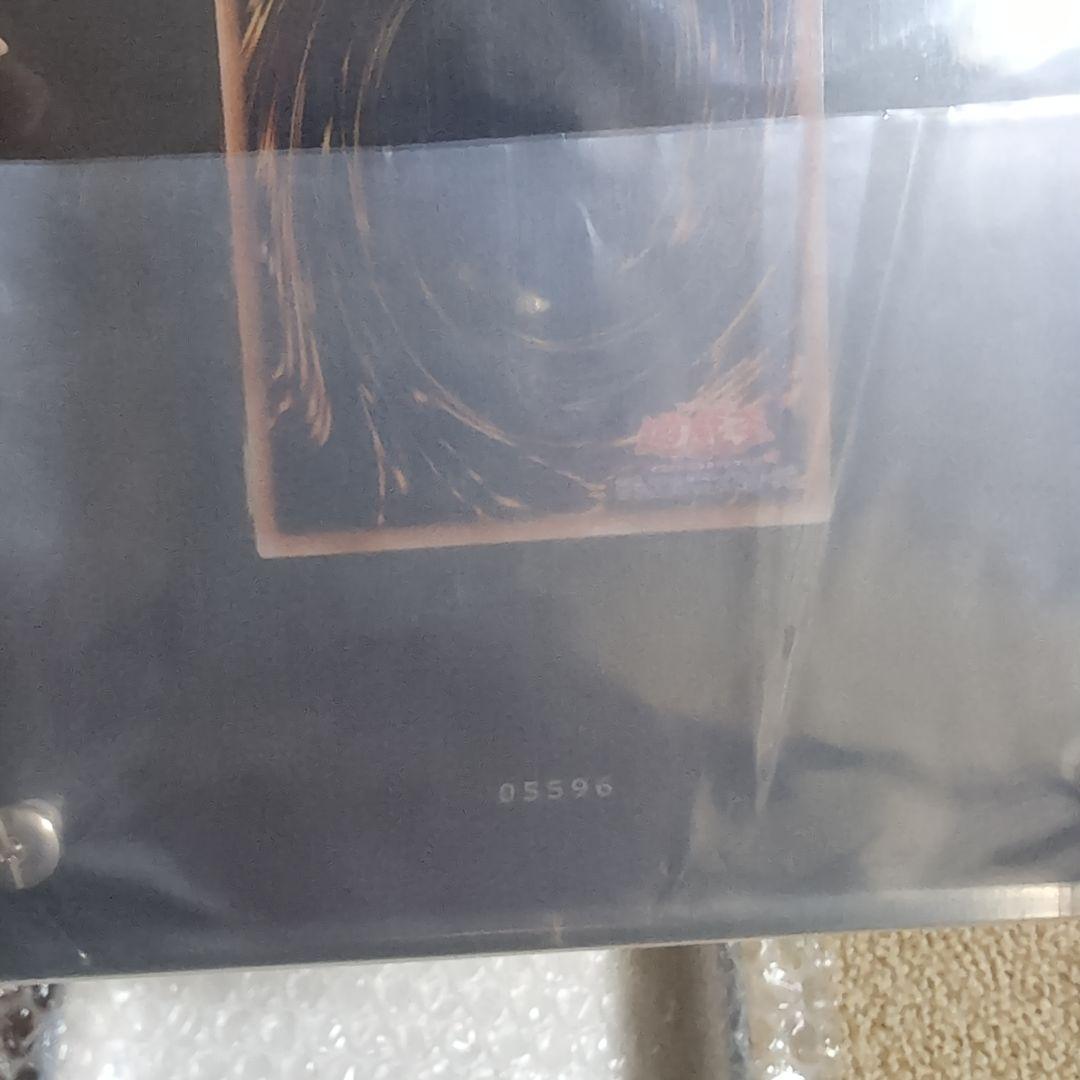 遊戯王 ブラックマジシャンガール ステンレス 10000枚限定