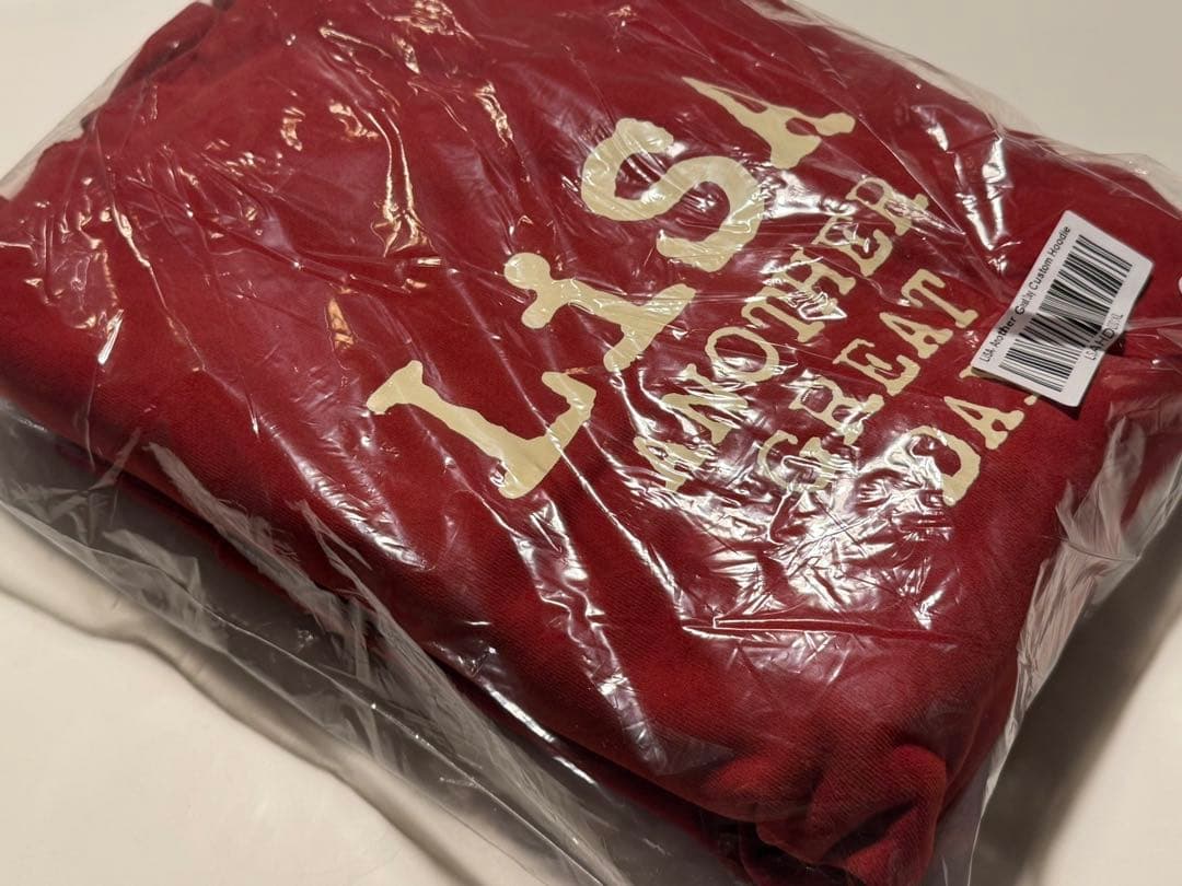 LiSA ANOTHER GREAT DAY HOODiE 北米限定パーカー