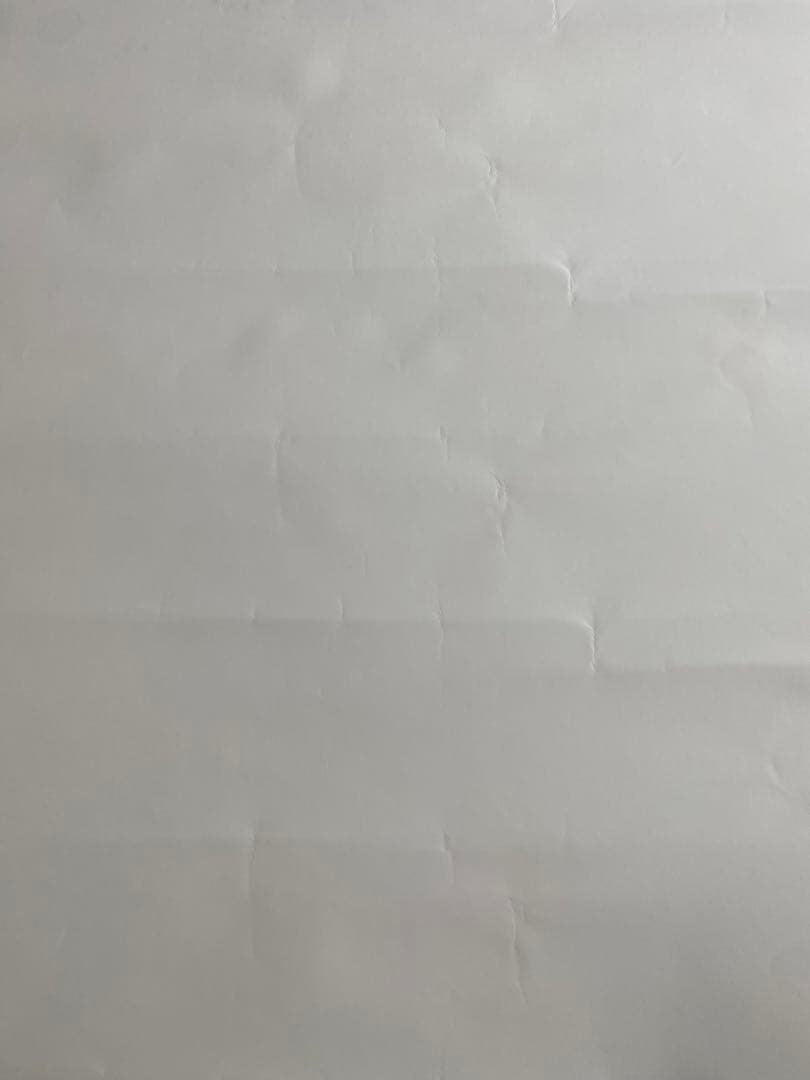 西野カナ 直筆サイン入りポスター with LOVE