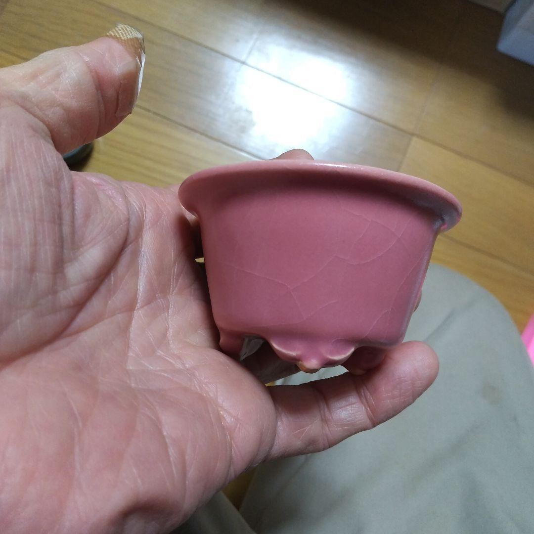 ミニ鉢、盆栽鉢、盆栽小鉢、鉢、植木鉢、山野草鉢、蘭鉢、盆栽 ミニ鉢、盆栽鉢、盆栽小鉢、鉢、植木鉢、山野草鉢、蘭鉢、盆栽 - メルカリ