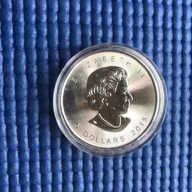 2015年 メープルリーフ銀貨 31.1g (１ オンス)　 ×２枚