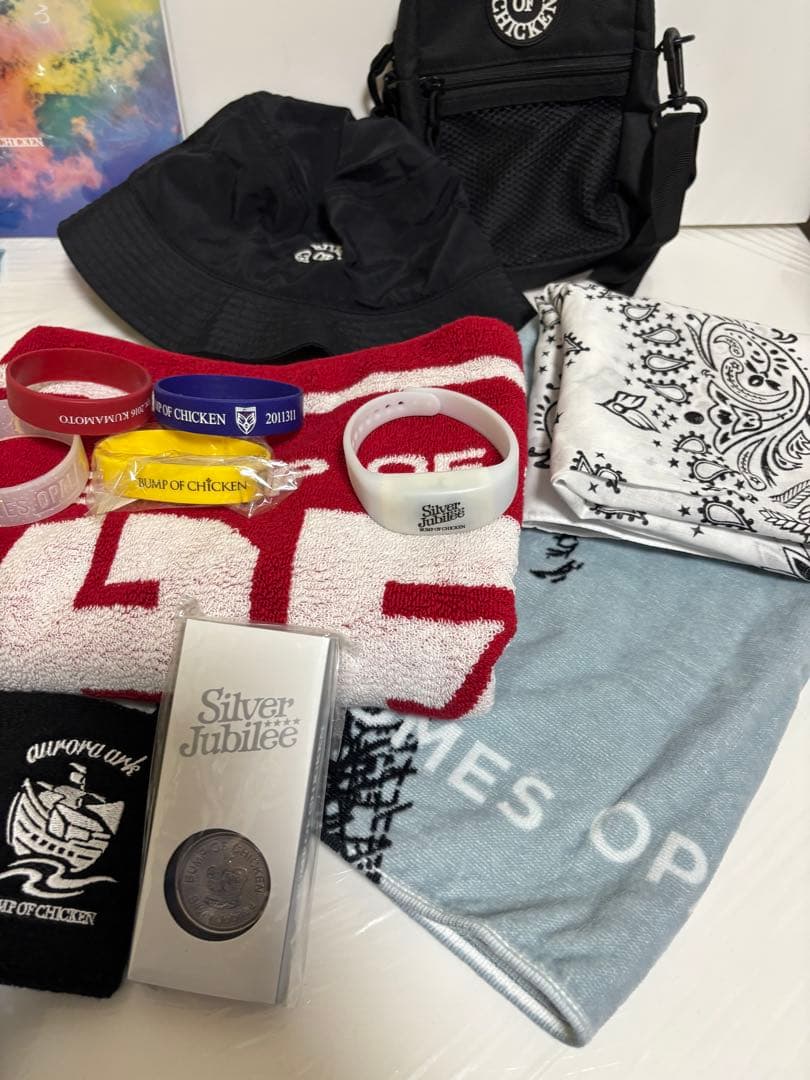 bump of chicken グッズセット　バケハ　バッグ　ベアブリックなど