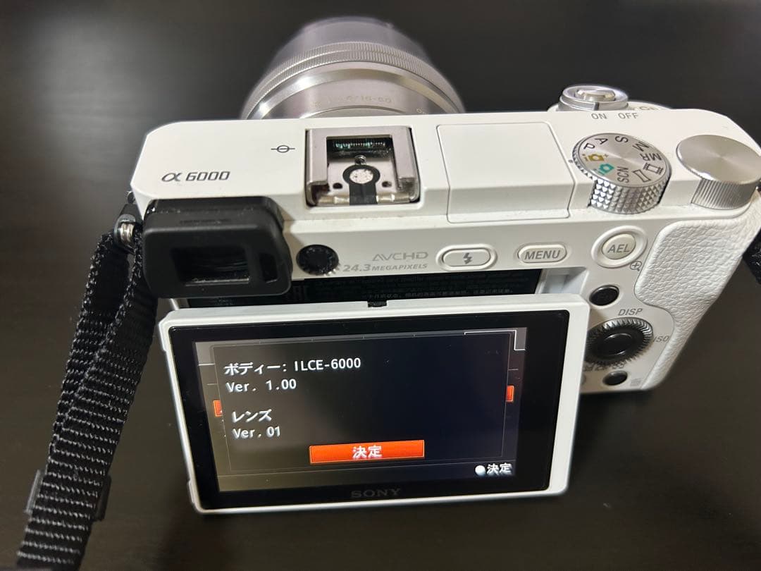 SONY ILCE-6000 ミラーレス一眼 レンズ 収納ケース付き