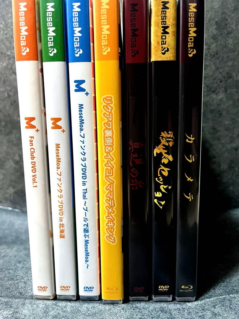 めせもあ 横アリ 他まとめ